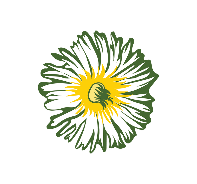 Sceletium tortuosum: The African Wonder Herb for Reducing Anxiety