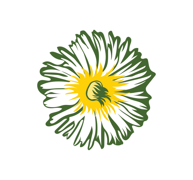 Sceletium tortuosum: The African Wonder Herb for Reducing Anxiety